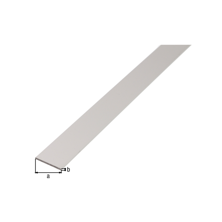 Profil PLOSNATI 20x2/2m | Pevex