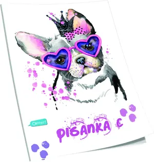 Bilježnica CONNECT PISANKA C PREMIUM ŽENSKI