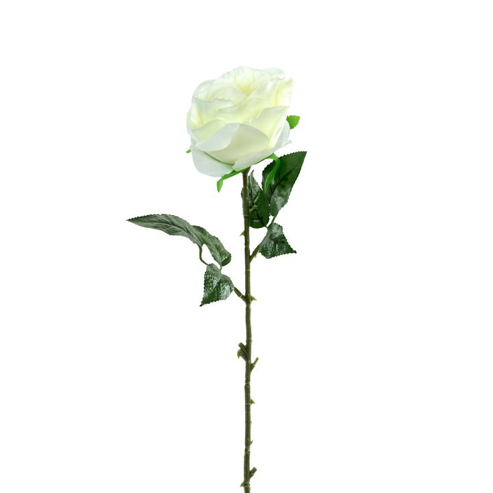 Rezano cvijeće RUŽA VEL.W530-0