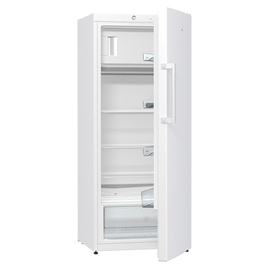 Samostojeći hladnjak GORENJE RB6151AW